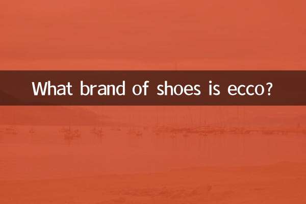 ecco是什么牌子的鞋