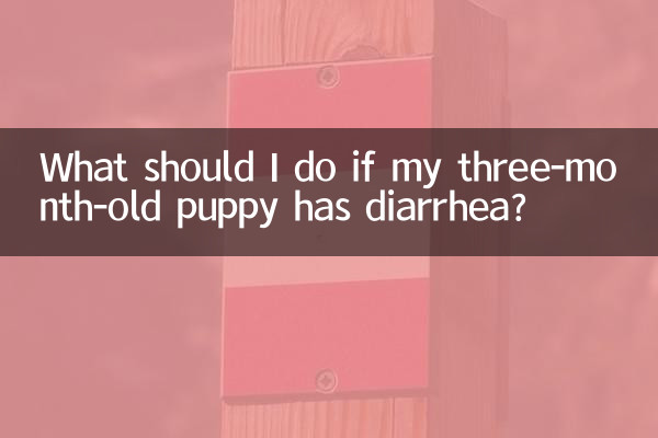 生後3か月の子犬が下痢をした場合はどうすればよいですか?