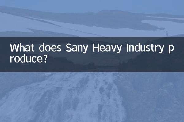 Sany Leavy Industryは何を生産していますか？