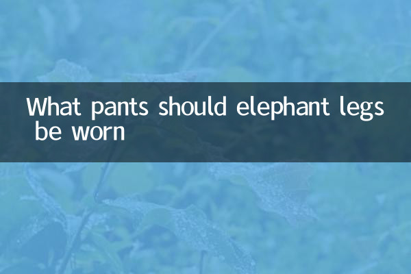 ¿Qué pantalones se deben usar las piernas de elefante?