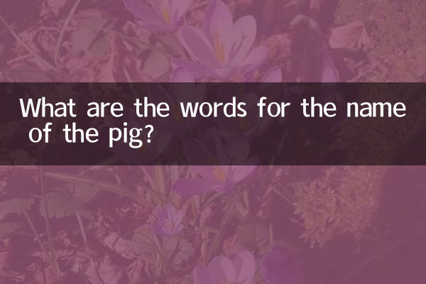 Was sind die Wörter für den Namen des Schweins?