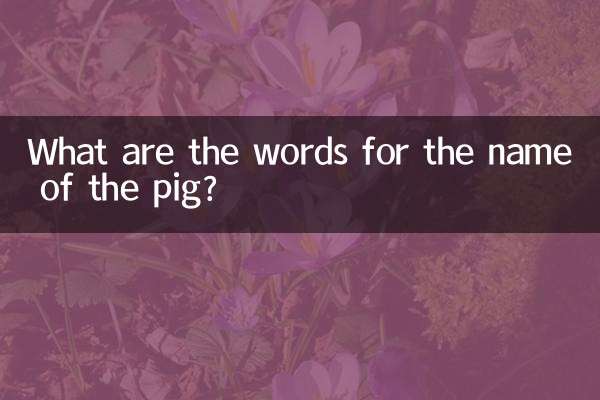 Was sind die Wörter für den Namen des Schweins?