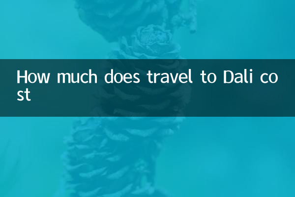 Dali 비용으로 여행하는 금액은 얼마입니까?