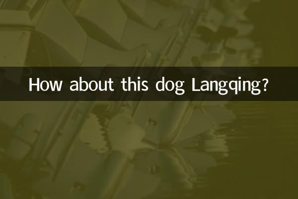 Wie wäre es mit diesem Hund Langqing?