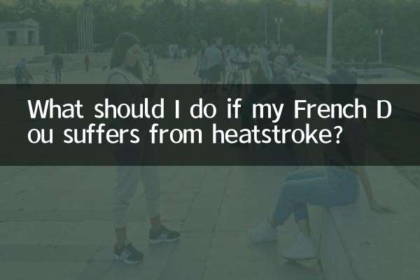 Que dois-je faire si mon French Dou souffre d’un coup de chaleur ?