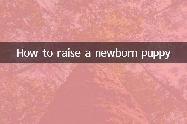 Comment élever un chiot nouveau-né
