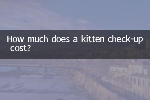 Quanto custa um check-up de gatinho?