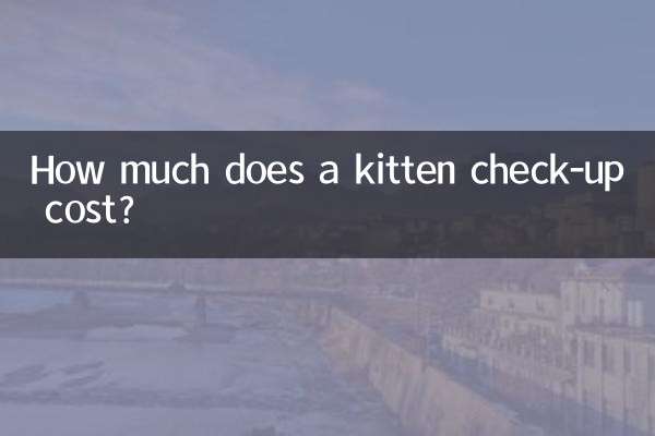 Quanto custa um check-up de gatinho?