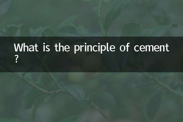 セメントの原理は何ですか？