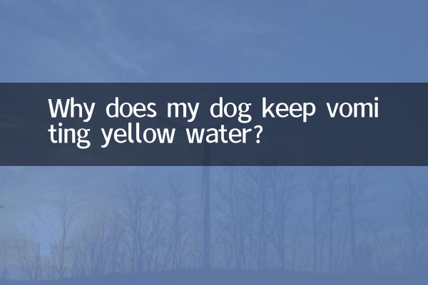Why does my dog keep vomiting yellow water?
