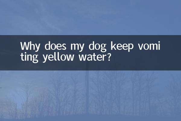 لماذا يستمر كلبي في القيء بالماء الأصفر؟