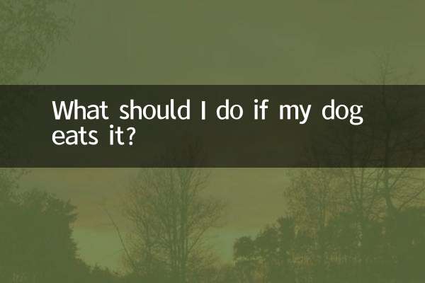 Was soll ich tun, wenn mein Hund es frisst?