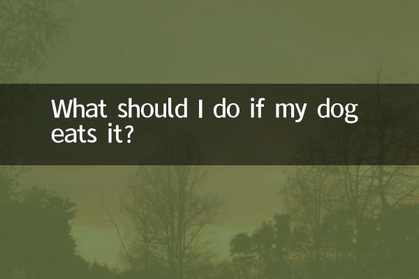 ¿Qué debo hacer si mi perro se lo come?