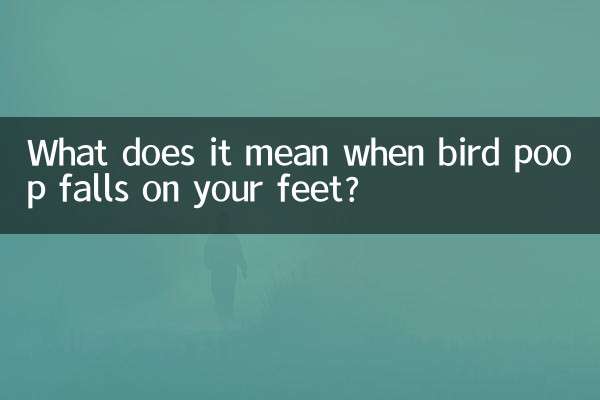 鸟屎掉脚上有什么预兆