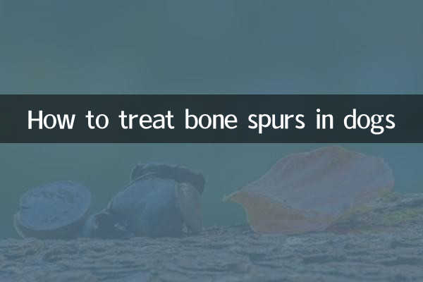 개의 뼈 박동을 치료하는 방법