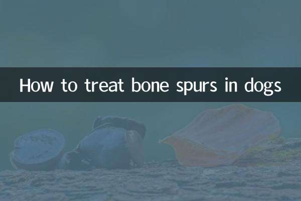 犬の骨棘を治療する方法