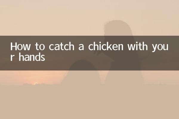 How to catch a chicken with your hands