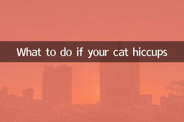 고양이가 딸꾹질을 한다면 어떻게 해야 할까요?
