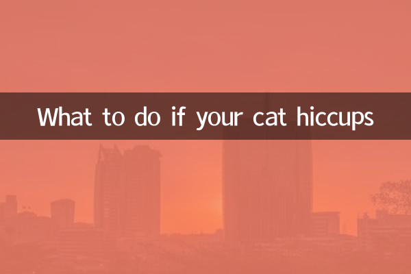 고양이가 딸꾹질을 한다면 어떻게 해야 할까요?