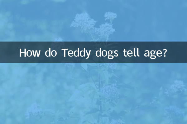 テディドッグはどうやって年齢を見分けるのでしょうか?