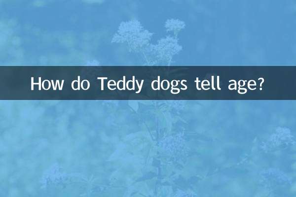 テディドッグはどうやって年齢を見分けるのでしょうか？