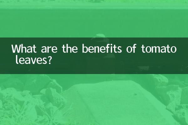 Quali sono i benefici delle foglie di pomodoro?