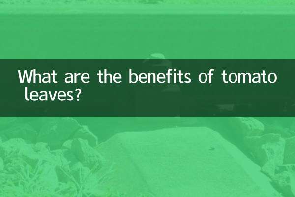 Какова польза листьев томата?