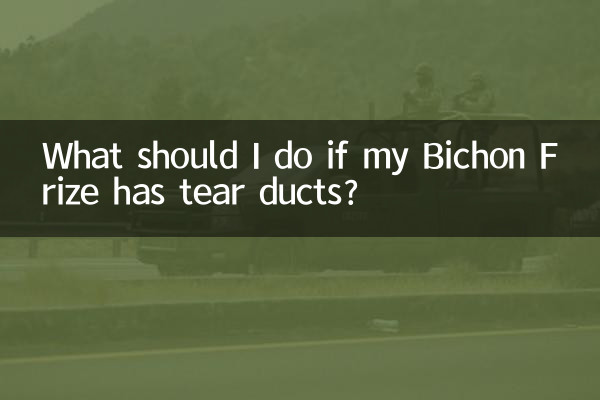 Was soll ich tun, wenn mein Bichon Frise Tränendrüsen hat?