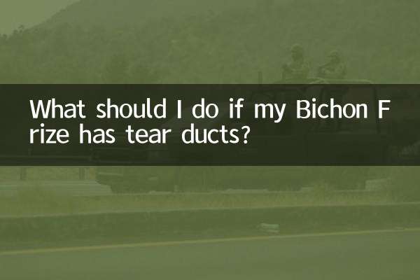 What should I do if my Bichon Frize has tear ducts?