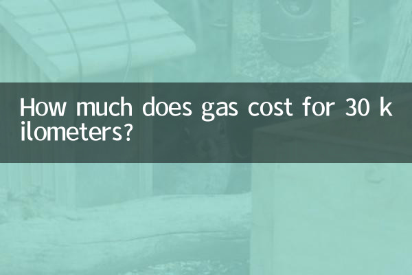 30km를 달리는 데 휘발유 비용은 얼마입니까?