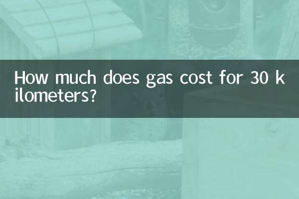 Wie viel kostet Benzin für 30 Kilometer?
