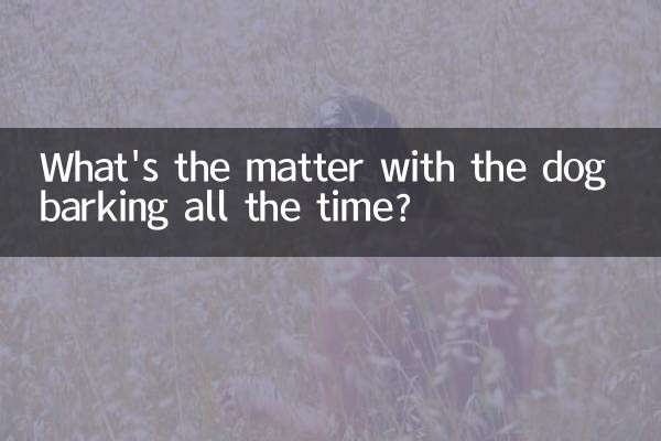 ہر وقت کتے کے بھونکتے ہوئے کیا معاملہ ہے؟