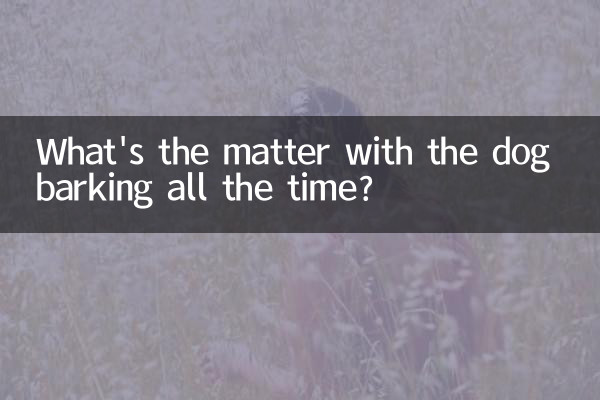 ہر وقت کتے کے بھونکتے ہوئے کیا معاملہ ہے؟