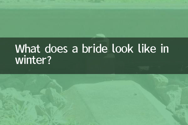 What does a bride look like in winter?