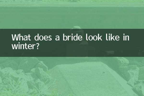 What does a bride look like in winter?