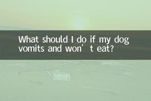 狗嘔吐不吃東西怎麼辦