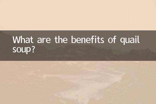 鹌鹑煲汤有什么功效