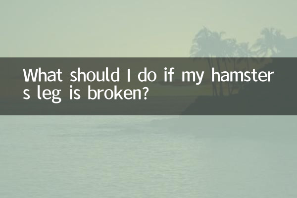Что делать, если у хомяка сломана нога?