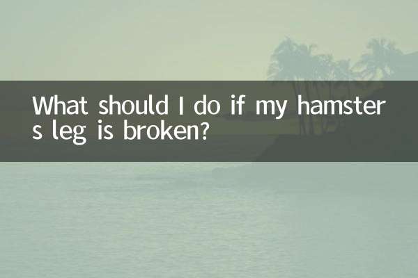 Что делать, если у хомяка сломана нога?