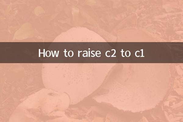 c2をc1に上げる方法