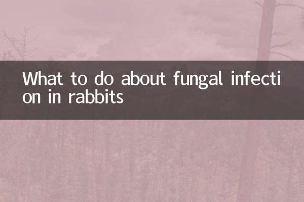 兔兔真菌感染怎么办