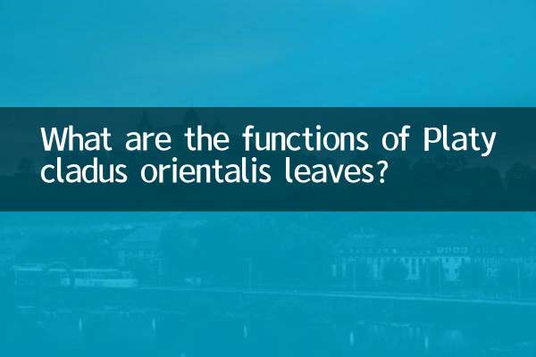 Quelles sont les fonctions des feuilles de Platycladus orientalis ?