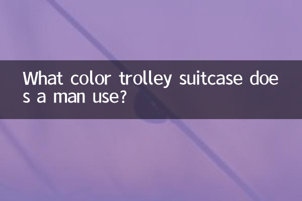 남자는 어떤 색의 트롤리 여행가방을 사용하나요?