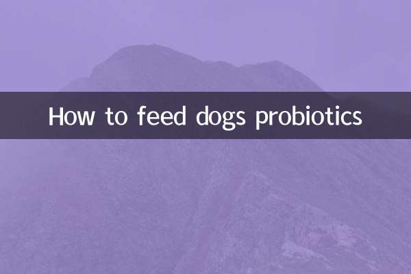 Come somministrare i probiotici ai cani