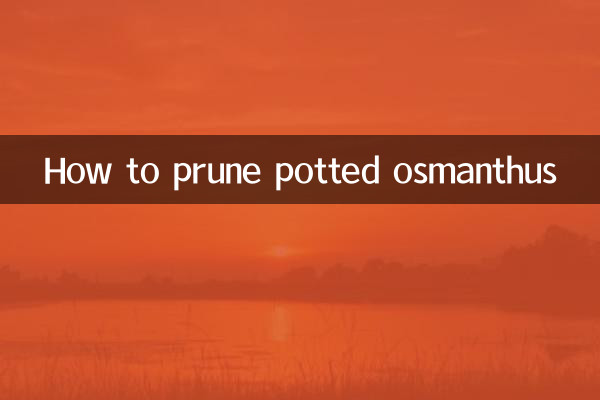 كيفية تقليم أوسمانثوس بوعاء