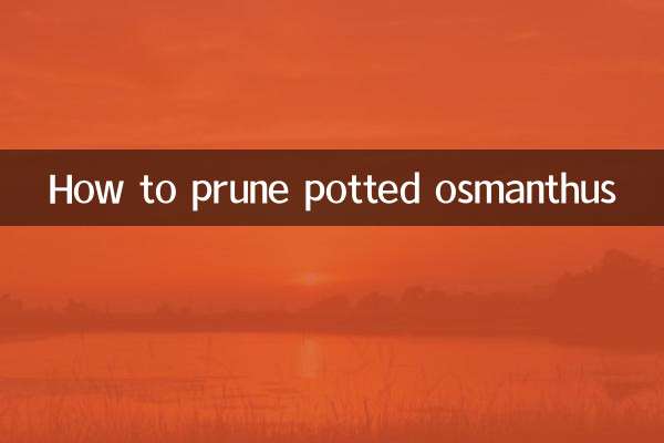 Cómo podar osmanthus en maceta