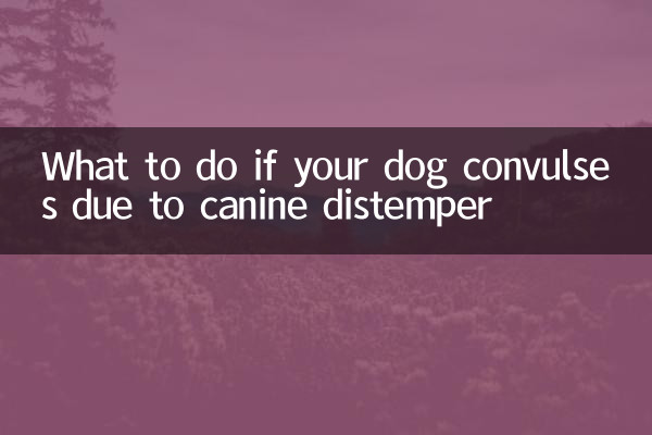 Cosa fare se il tuo cane ha le convulsioni a causa del cimurro
