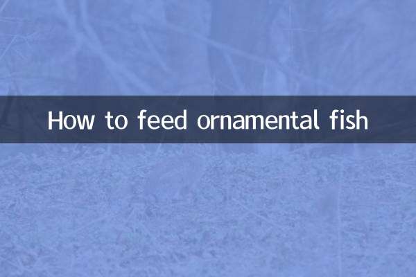 কিভাবে শোভাময় মাছ খাওয়ানো