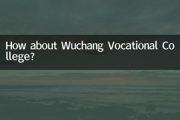 Que tal a Faculdade Profissional de Wuchang?