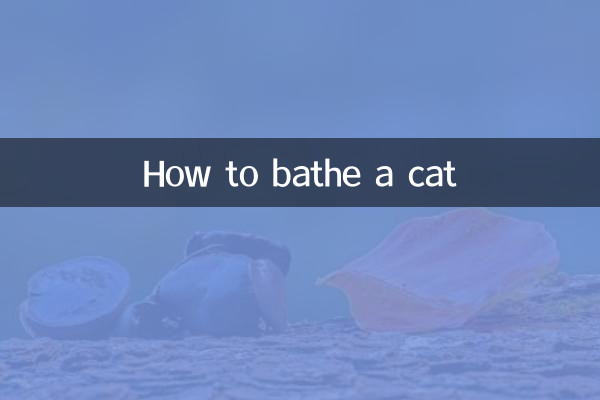 बिल्ली को कैसे नहलाएं